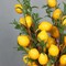 6-Piece Artificial Lemon Branches – 23.6-Inch Lifelike Fake Lemons with Leaves for Kitchen, Farmhouse, Party, Table Centerpiece, and Home Décor